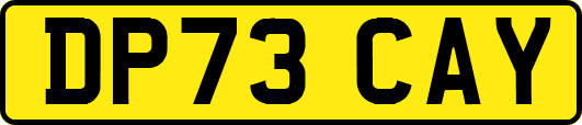 DP73CAY