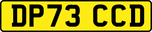 DP73CCD