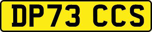 DP73CCS