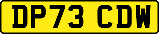 DP73CDW