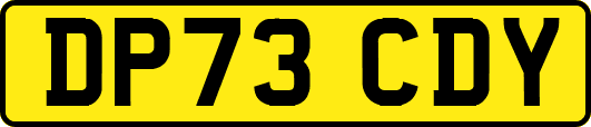 DP73CDY