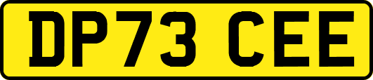 DP73CEE