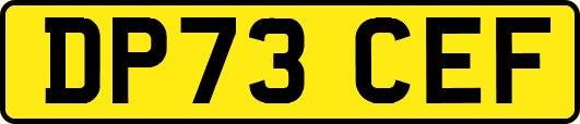 DP73CEF