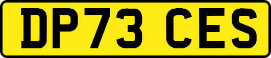 DP73CES