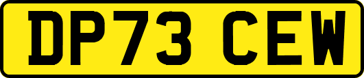 DP73CEW
