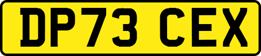 DP73CEX