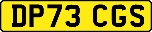 DP73CGS