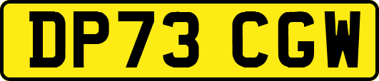 DP73CGW