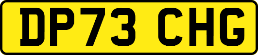 DP73CHG