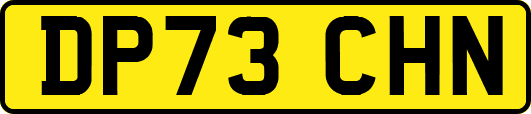 DP73CHN