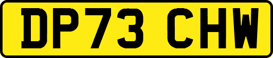 DP73CHW