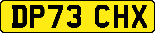 DP73CHX