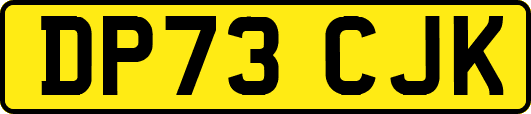 DP73CJK