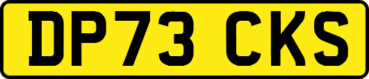 DP73CKS