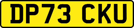 DP73CKU