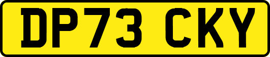 DP73CKY