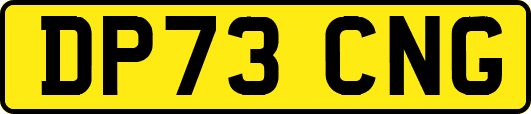 DP73CNG