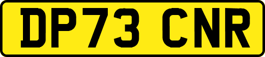 DP73CNR
