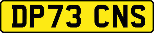 DP73CNS