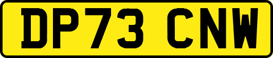 DP73CNW