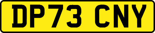 DP73CNY