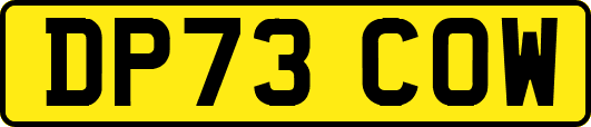 DP73COW