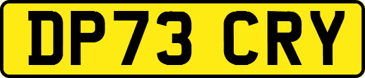 DP73CRY