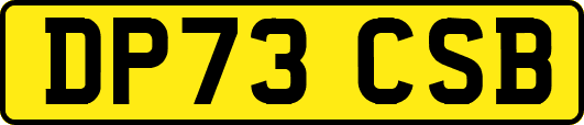 DP73CSB
