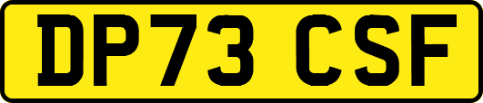 DP73CSF
