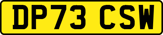 DP73CSW