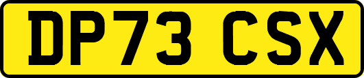 DP73CSX