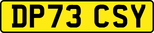 DP73CSY