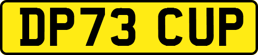 DP73CUP