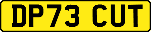 DP73CUT
