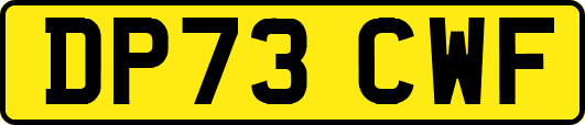 DP73CWF