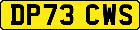 DP73CWS