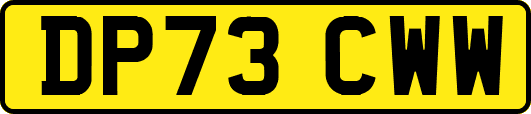 DP73CWW