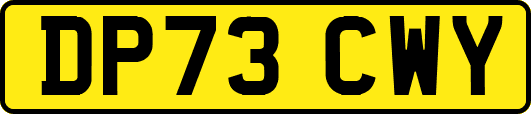 DP73CWY