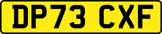 DP73CXF