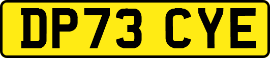 DP73CYE