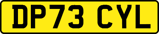 DP73CYL