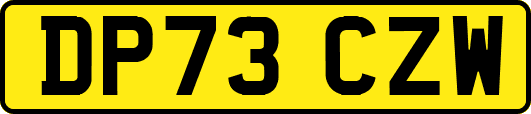 DP73CZW