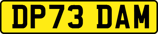 DP73DAM