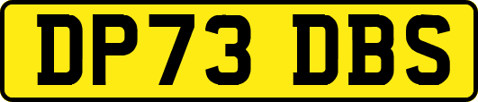 DP73DBS