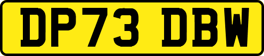 DP73DBW