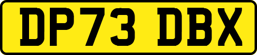DP73DBX