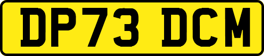 DP73DCM