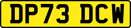 DP73DCW