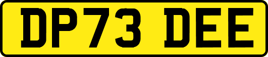 DP73DEE