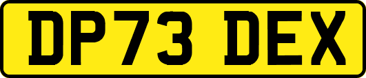 DP73DEX
